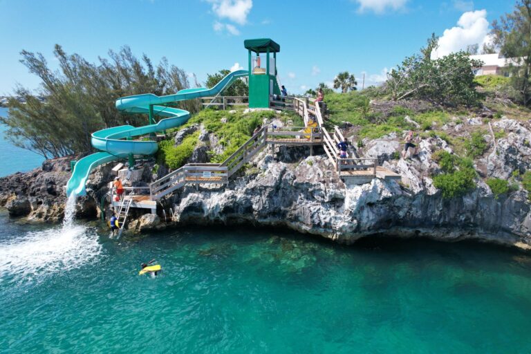 WhatsApp Image 2025-07-01 at 11.38.36_40d2c21d